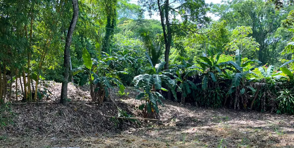 Lote en Santa Teresa Santiago - Vista al valle - Playa Hermosa a 7 min - Imagen 6