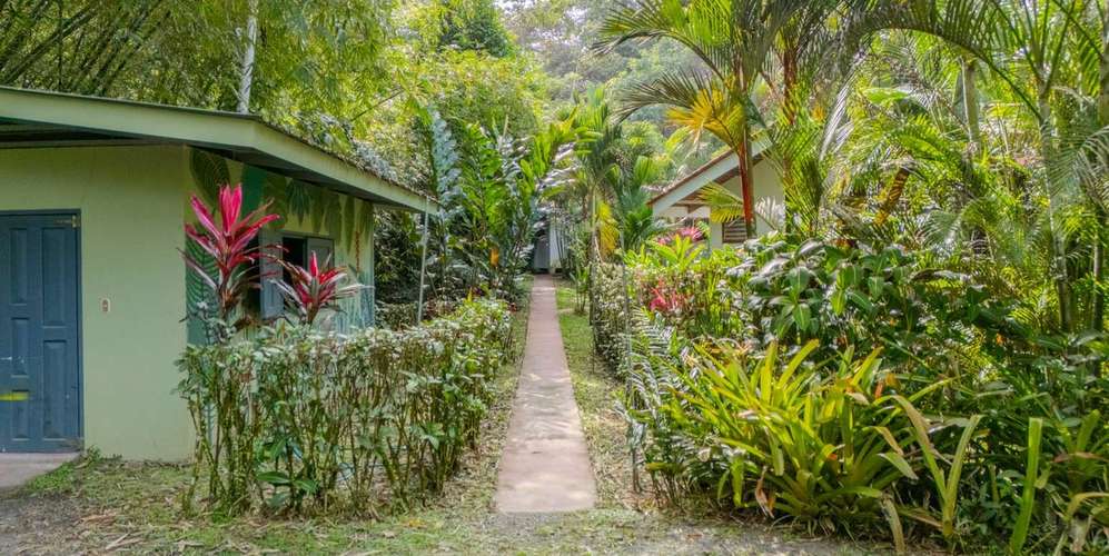 Villa 6 habs en Puerto Viejo Cocles - Zona indígena - Jardín y renta - Imagen 6