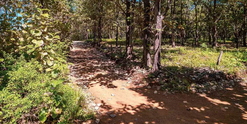 Lote frente al mar en Avellanas Playa Lagartillo - acceso privado - - Imagen 4