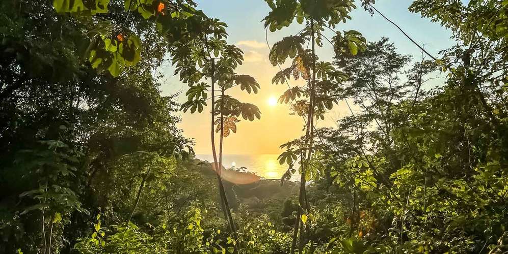 Lote plano en Santiago Puntarenas - Privado y con pozo - Listo para - Imagen 5