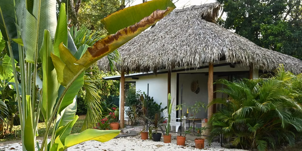 Jungle Retreat with Two Homes and Room for Expansion