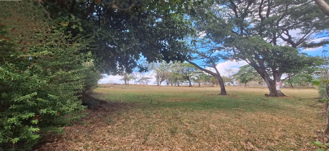 Venta de Lote en La Guácima