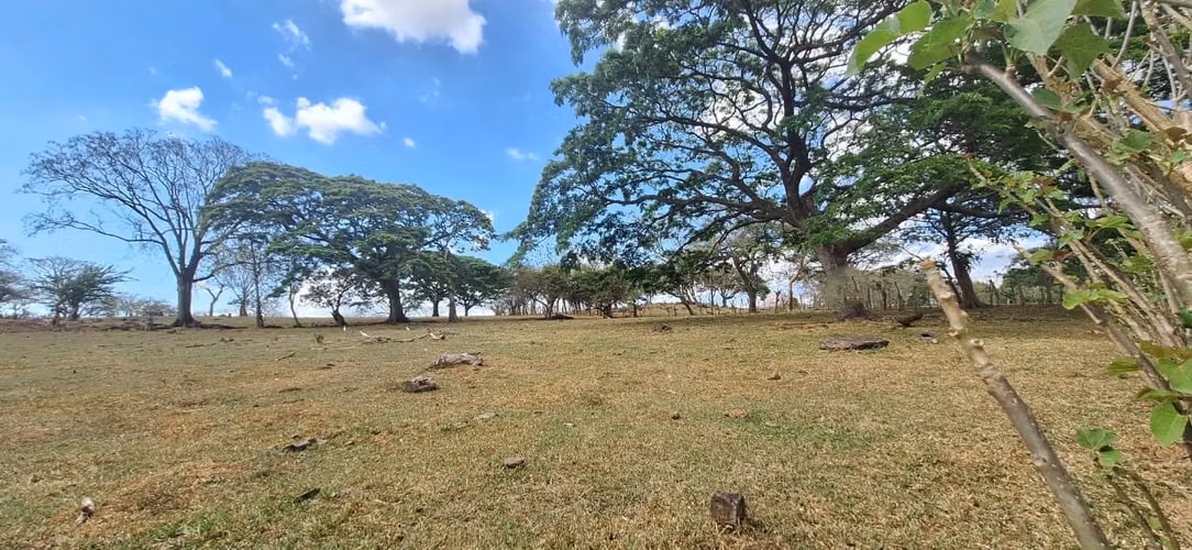Venta de Lote en La Guácima - Imagen 5