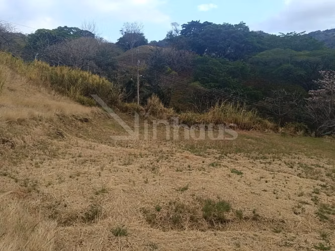 Venta de lote con vistas en Alto de Las Palomas Oportunidad - Imagen 7