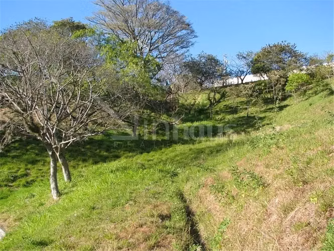 Venta de lote con vistas en Alto de Las Palomas Oportunidad - Imagen 9