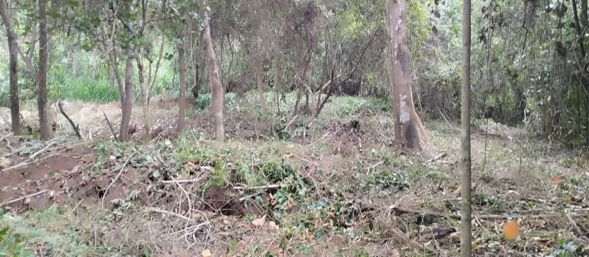 Rebajado! Lote de 1730m2 en Guanacaste, Abangares.