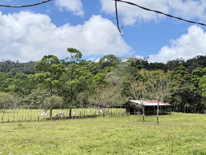 NUEVO PRECIO!!!! Hermosa propiedad en entorno natural privilegiado (Ideal para turismo o ganadería)