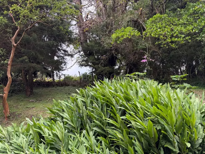 Venta de Espectacular Lote en San Isidro de Heredia.