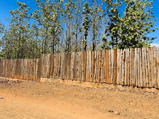 Lotes Asequibles Cerca de Playa Avellanas | Zona Pinilla | Desde $50,000 - Imagen 6