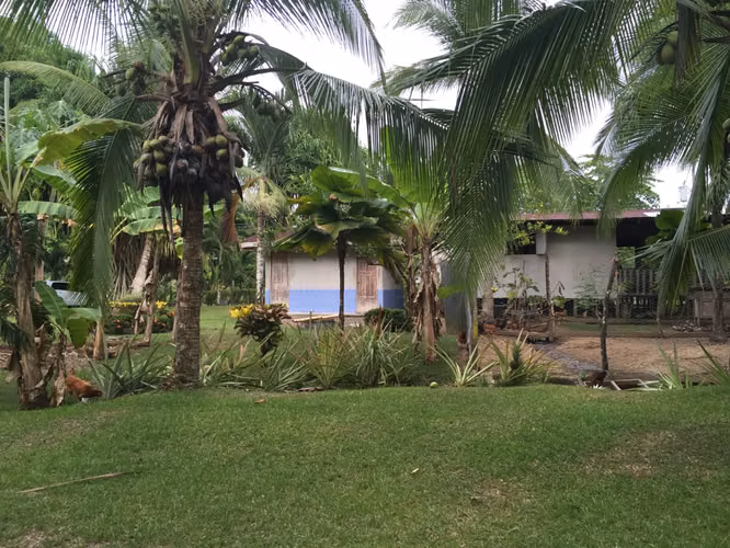  Terreno Único a 100m del Mar  Antes $1,450,000   Oferta especial: $1,300,000