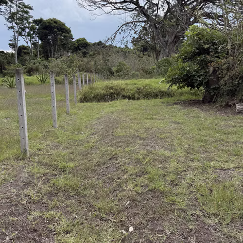 Oportunidad de Desarrollo en Cartago: 4,695 m² con Visión Estratégica (Zona ZRAD) - Imagen 5