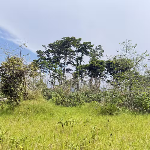 Oportunidad de Desarrollo en Cartago: 4,695 m² con Visión Estratégica (Zona ZRAD) - Imagen 16