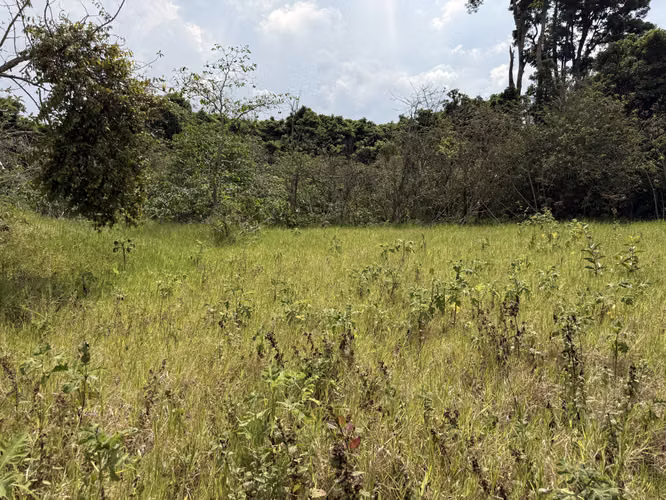 Oportunidad de Desarrollo en Cartago: 4,695 m² con Visión Estratégica (Zona ZRAD) - Imagen 7