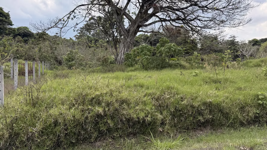 Oportunidad de Desarrollo en Cartago: 4,695 m² con Visión Estratégica (Zona ZRAD) - Imagen 8
