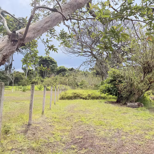 Oportunidad de Desarrollo en Cartago: 4,695 m² con Visión Estratégica (Zona ZRAD) - Imagen 18