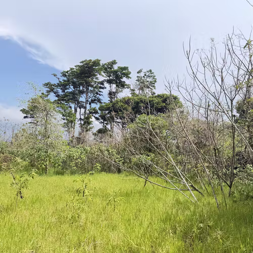 Oportunidad de Desarrollo en Cartago: 4,695 m² con Visión Estratégica (Zona ZRAD) - Imagen 12