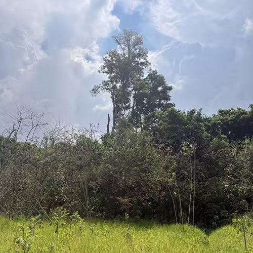 Oportunidad de Desarrollo en Cartago: 4,695 m² con Visión Estratégica (Zona ZRAD) - Imagen 15