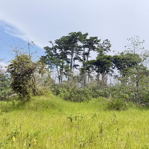 Oportunidad de Desarrollo en Cartago: 4,695 m² con Visión Estratégica (Zona ZRAD) - Imagen 19