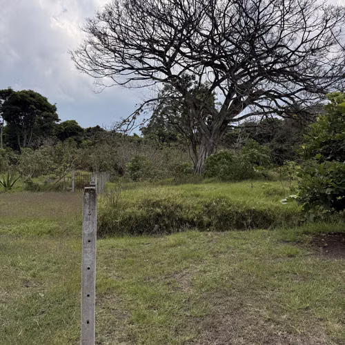 Oportunidad de Desarrollo en Cartago: 4,695 m² con Visión Estratégica (Zona ZRAD) - Imagen 6
