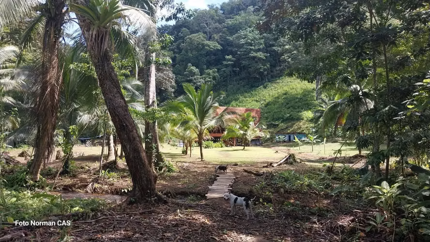 PROPIEDAD PARA DESARROLLADORES 47 HECTAREAS GOLFITO