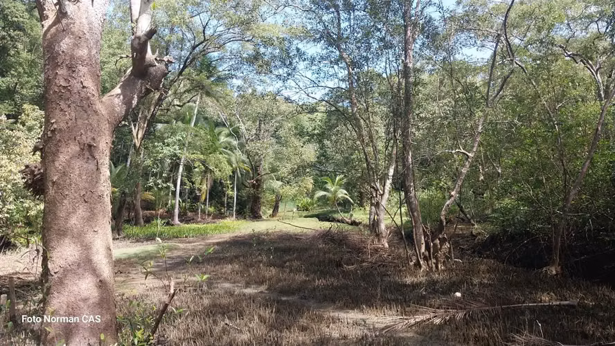 PROPIEDAD PARA DESARROLLADORES 47 HECTAREAS GOLFITO