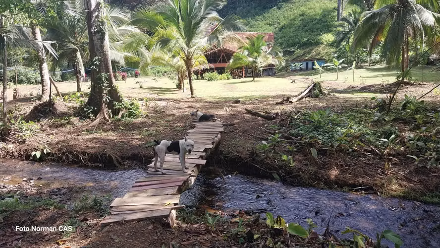 PROPIEDAD PARA DESARROLLADORES 47 HECTAREAS GOLFITO