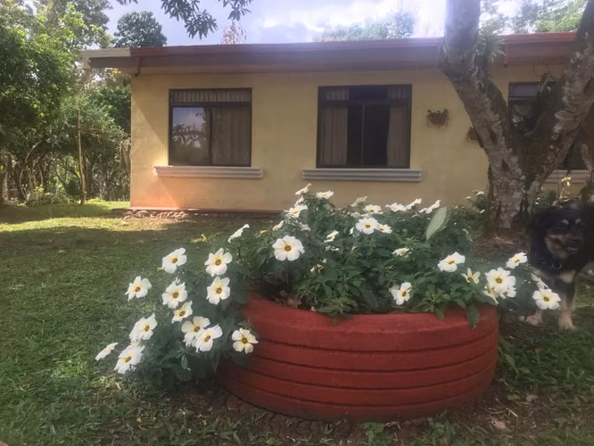 Se vende finca en Santa Rosa de Pocosol, por la escuela - Imagen 4