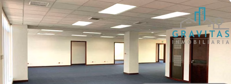 Offices for rent in Sabana (in executive) ID 1673
