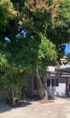 Alquiler de Bodega cercanía UNA, Heredia - Imagen 13