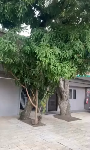 Alquiler de Bodega cercanía UNA, Heredia - Imagen 12