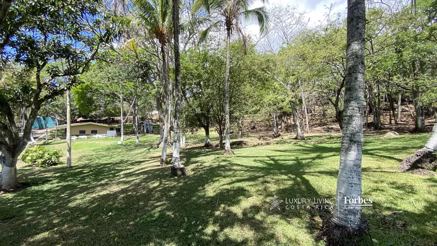 21391 - Amplia finca en alquiler con piscina y venados en Ciruelas - Imagen 6