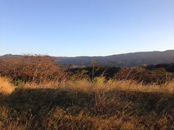Se vende lotes en  San Miguel de Turrúcares. - Imagen 8