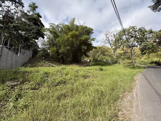 LOTE PARA DESARROLLAR EN BELLO HORIZONTE ESCAZU