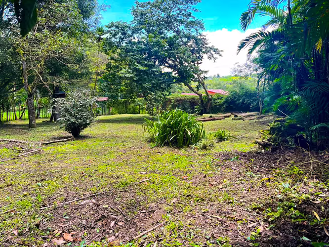Lote en Venta en San Ramón de La Unión – Rodeado de Naturaleza