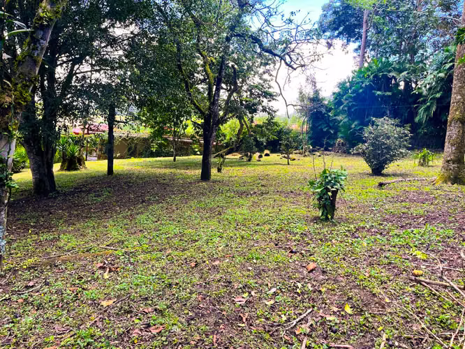 Lote en Venta en San Ramón de La Unión – Rodeado de Naturaleza
