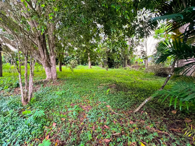 Lote en Venta en San Ramón de La Unión – Rodeado de Naturaleza