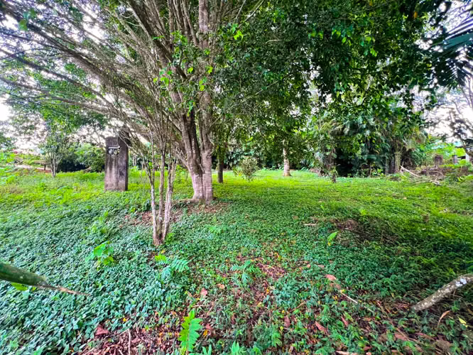 Lote en Venta en San Ramón de La Unión – Rodeado de Naturaleza