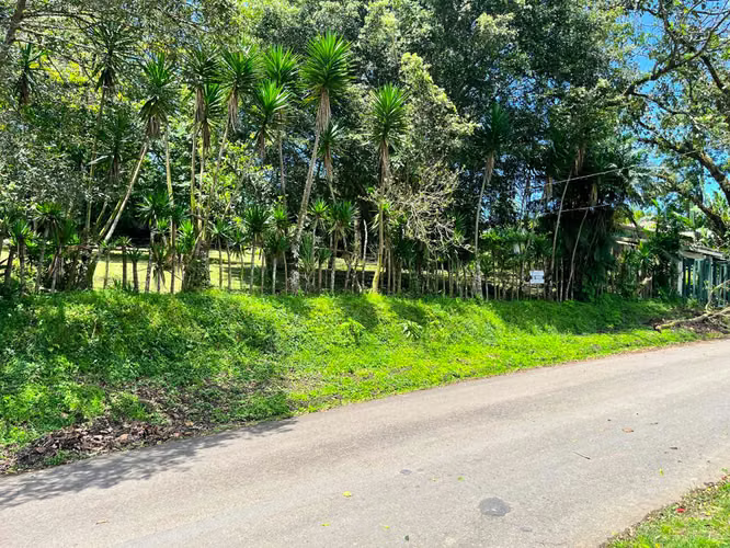 Lote en Venta en San Ramón de La Unión – Rodeado de Naturaleza