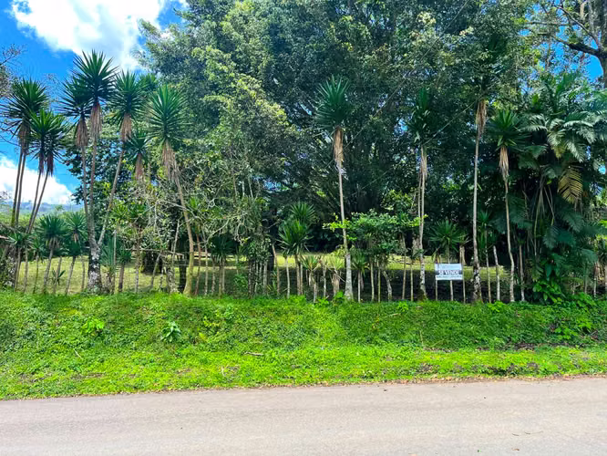 Lote en Venta en San Ramón de La Unión – Rodeado de Naturaleza