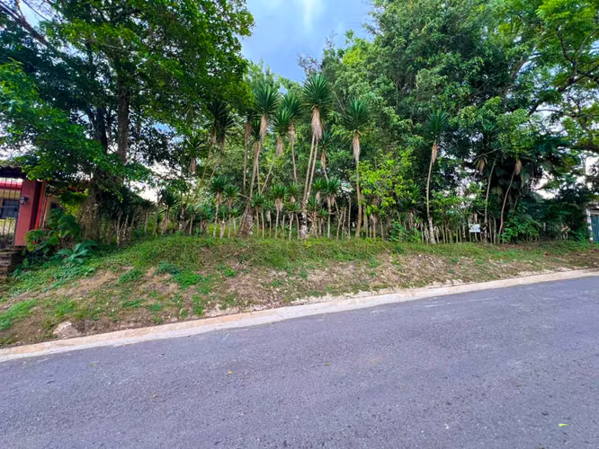 Lote en Venta en San Ramón de La Unión – Rodeado de Naturaleza