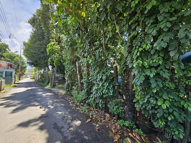 Venta de terreno a 20 metros de la Playa, Jacó, Puntarenas - Imagen 12
