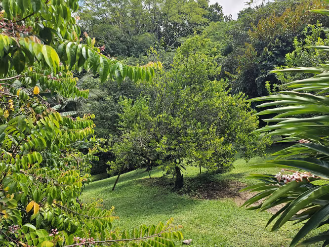 Quinta Premium Casa una planta con piscina, BBQ, Esparza, Puntarenas - Imagen 17