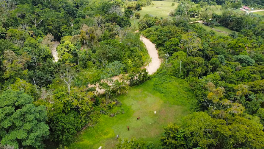 165 ha en Río Claro, Golfito: alto potencial de valorización y eco-desarrollo