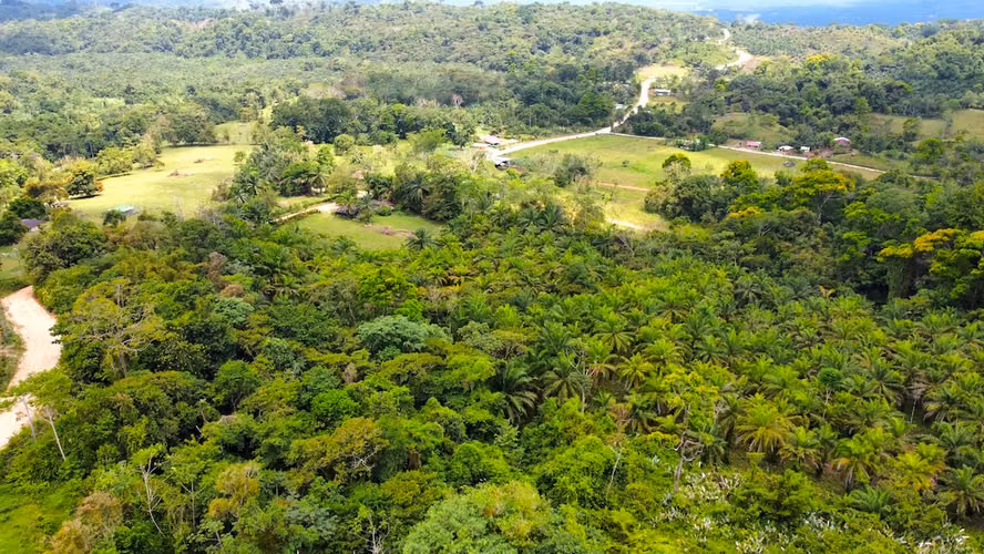 165 ha en Río Claro, Golfito: alto potencial de valorización y eco-desarrollo