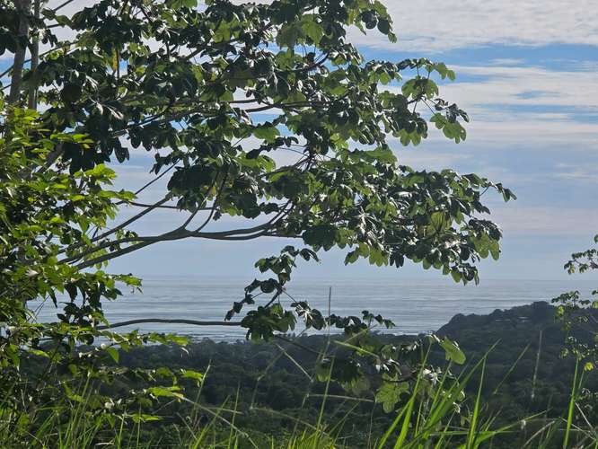 VENTA DE TERRENO EN COSTA ESTERILLOS ESTATES