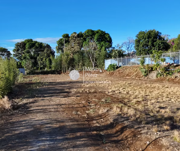 LOTE MULTIUSO EN VENTA - EL LLANO - NARANJO