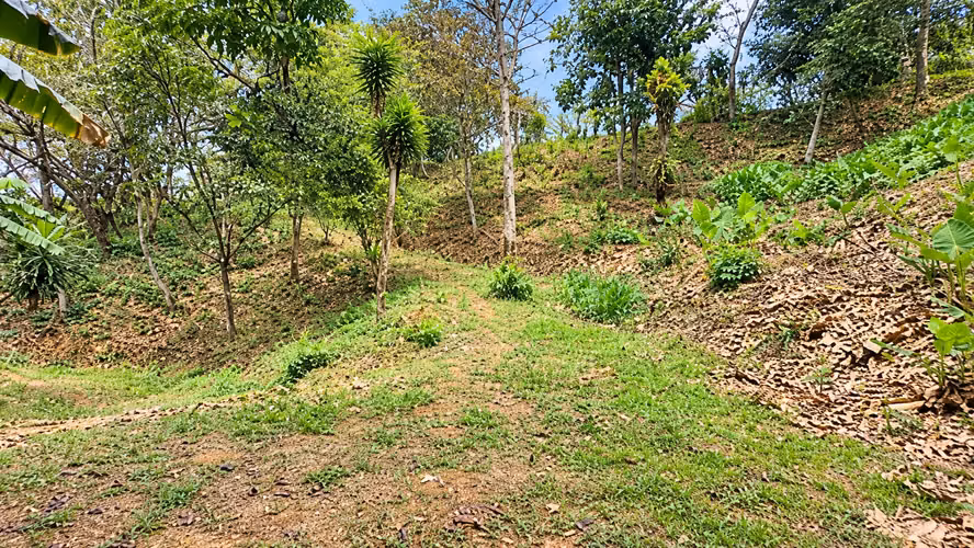 Venta Lote en Bosques de Mora - Imagen 11
