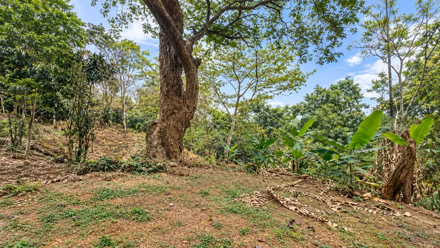Venta Lote en Bosques de Mora - Imagen 12