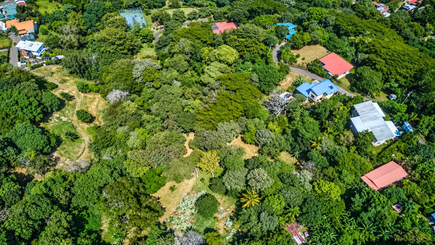 Venta Lote en Bosques de Mora - Imagen 10