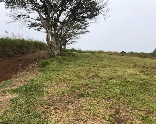 Terreno en Piedades Norte de San Ramón, Alajuela - Imagen 6